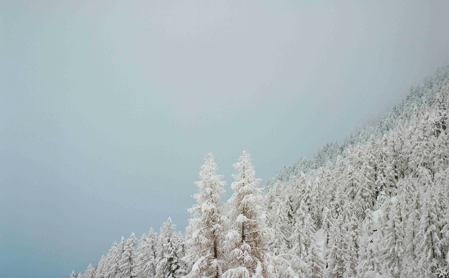 THE STORM