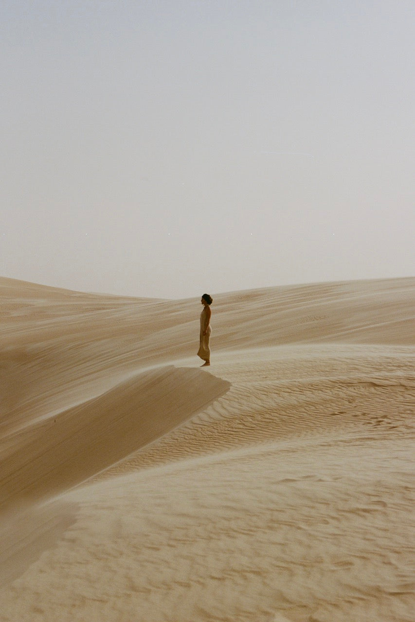 THE WIND