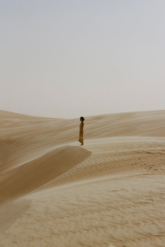 THE WIND