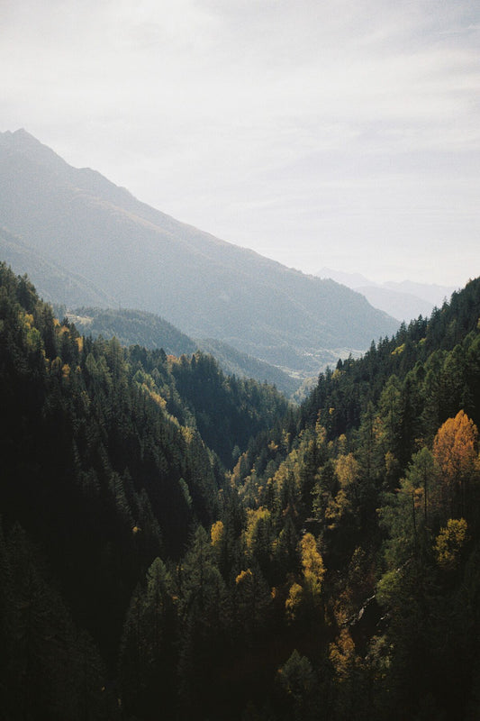 Analog forest mountain valley landscape print with autumn trees and layered alpine hills, shot on 35mm film in the Swiss Alps under soft atmospheric light