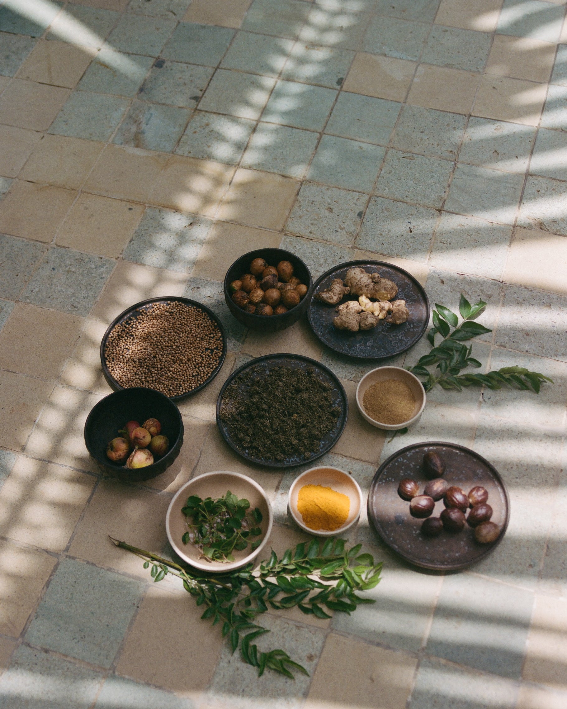 Analog still life of natural ingredients and spices arranged on tiled floor with dappled sunlight and shadows, shot on medium format film