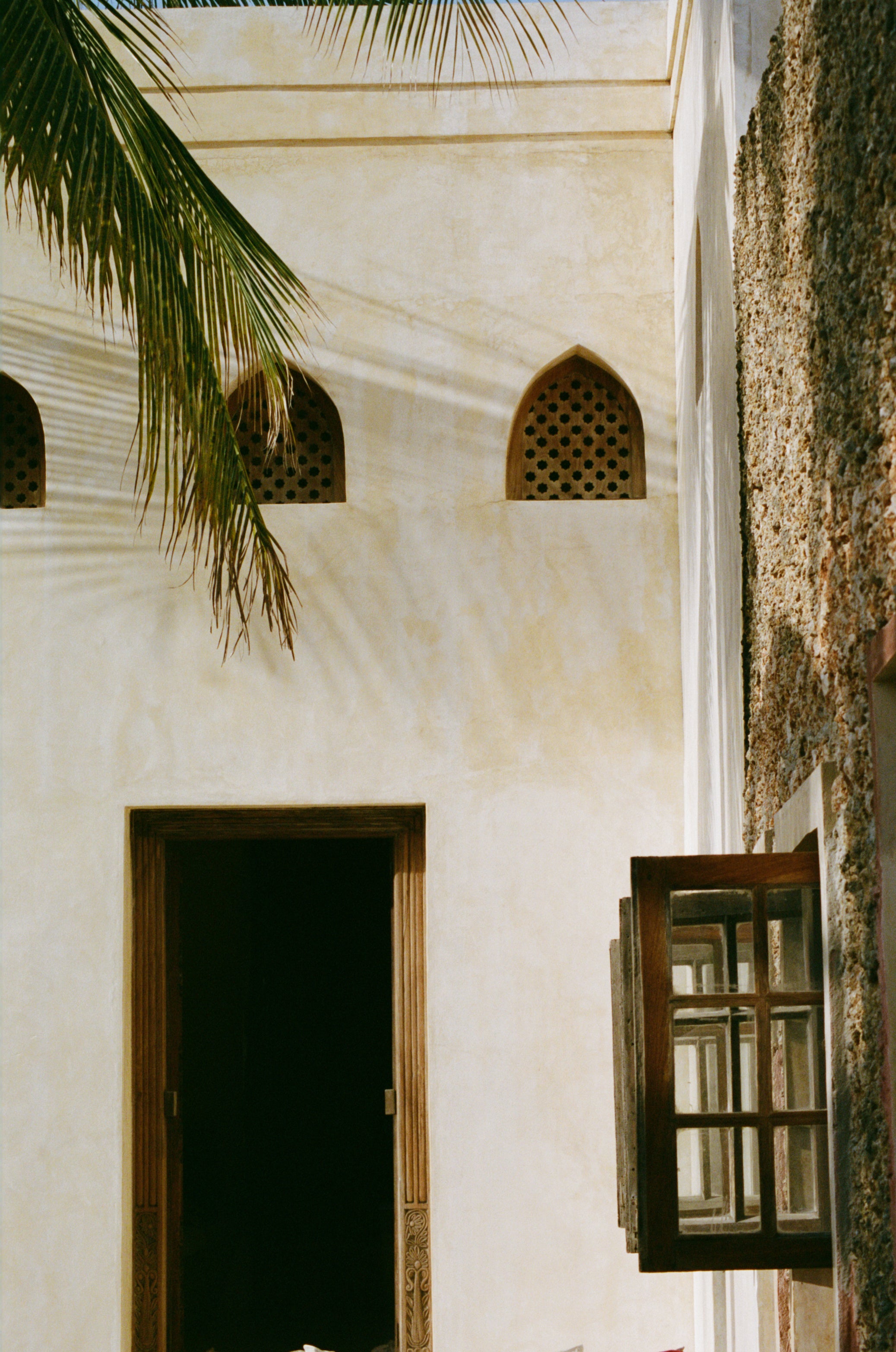 White building with arched windows and a palm tree shot in lamu kenya on 120mm film. fine art. 