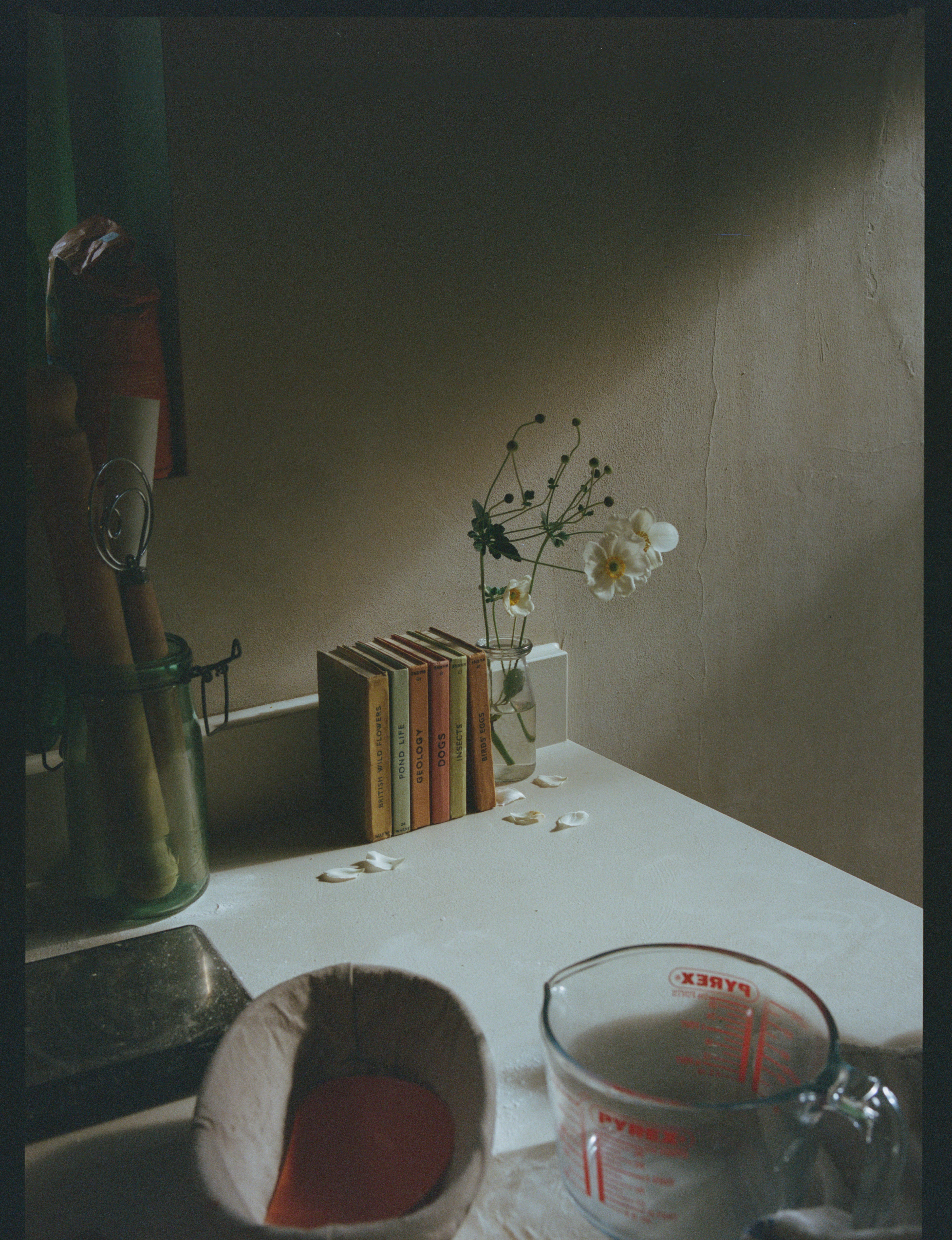 sourdough corner, medium format, 