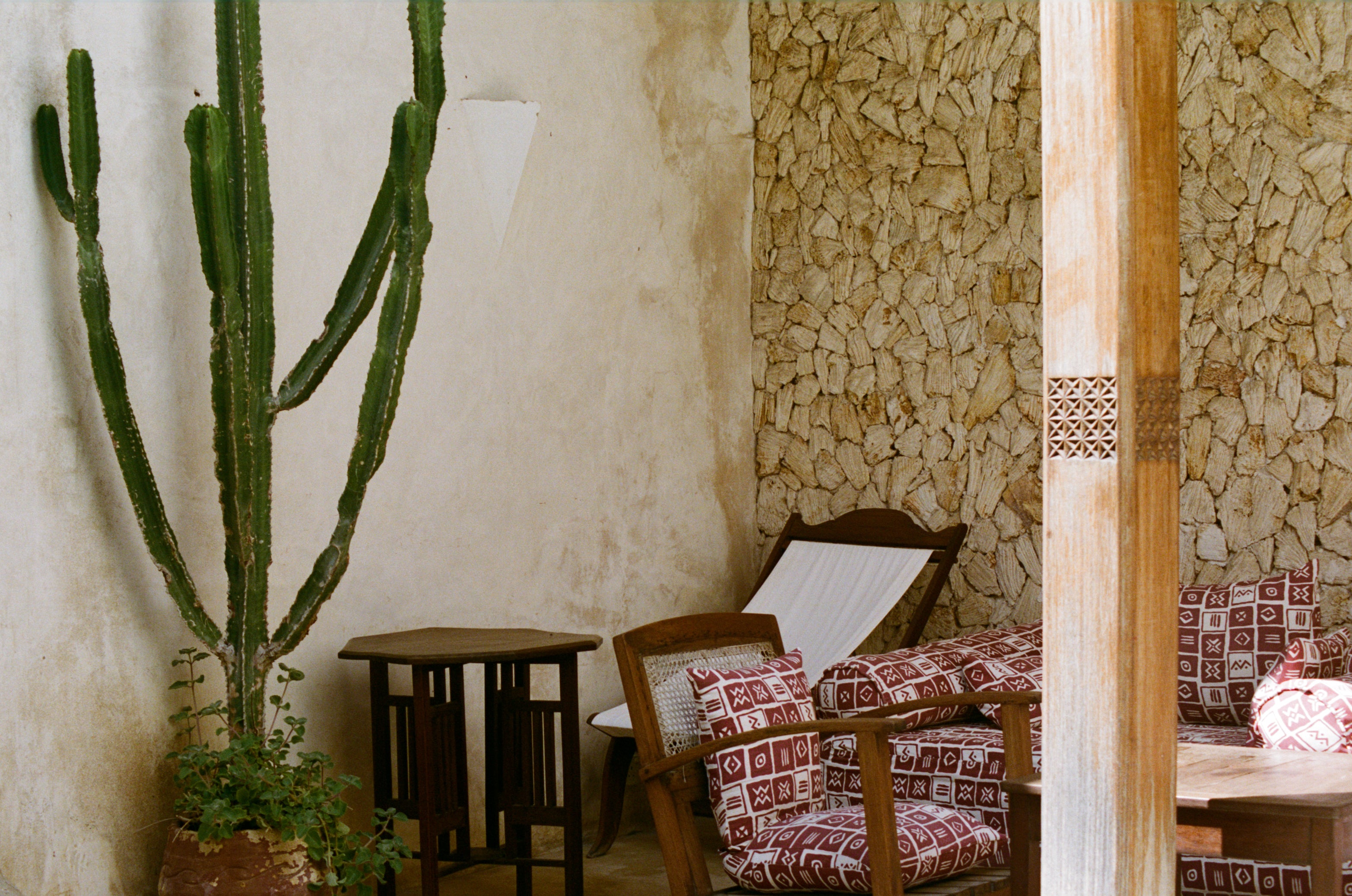 Analog photograph of sunlit outdoor seating area with cactus, textured stone wall, and patterned cushions, shot on medium format film
